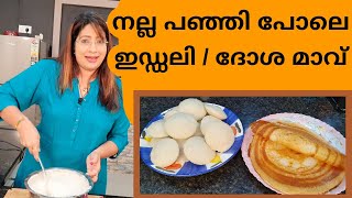 How To Make The Perfect Idli Dosa Batter അടിപൊളി ഇഡ്ഡലി  ദോശ മാവിന്റെ കൂട്ട്  Lekshmi Nair [upl. by Nalon974]