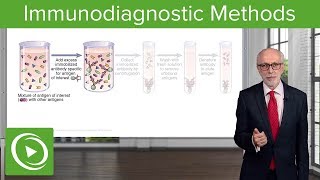 Immunodiagnostic Methods – Immunology  Lecturio [upl. by Ellehcrad314]