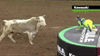 Flint Rasmussen Goes FacetoFace with a Bull [upl. by Inig]