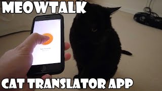 Meow Talk Cat Translator App [upl. by Pineda411]