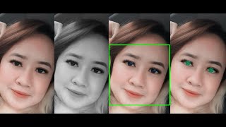 Python amp Dlib based Virtual Makeup eye lens Part 1 [upl. by Veradi323]