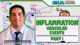 Immunology  Inflammation Vascular Events Part 1 [upl. by Placeeda]