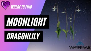 Warframe Where to find Moonlight Dragonlily 2021 [upl. by Aretta202]