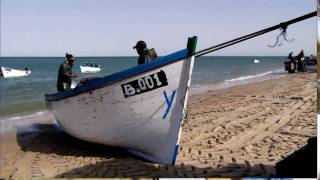 Dakhla  Pêche surfcatsing [upl. by Macleod]