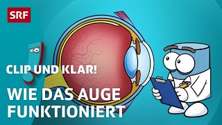 Wie ist dein Auge aufgebaut  SRF Kids – Clip und klar  Für Kinder erklärt [upl. by Scharff142]