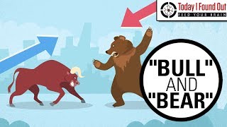 Why are Bull and Bear Markets Called That [upl. by Eirene662]