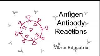 Antigen and Antibody Reactions Microbiology [upl. by Aitselec612]