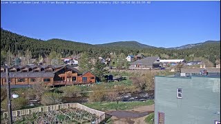 Live View of Nederland CO from Busey Brews Smokehouse amp Brewery [upl. by Udale204]