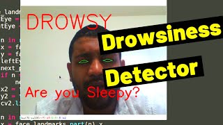 Drowsiness Detector Blink Detection OpenCV Project Tutorial  Python and Dlib  with code [upl. by Mayor]