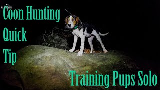 Coon Hunting Quick Tip Training Pups Solo [upl. by Knowle]