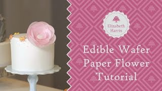 Edible Wafer Paper Flower Tutorial  Cake Decorating Tutorial [upl. by Einotna]