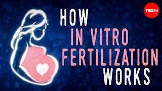 How in vitro fertilization IVF works  Nassim Assefi and Brian A Levine [upl. by Rairb]