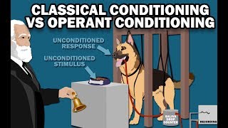 CLASSICAL VS OPERANT CONDITIONING [upl. by Lewiss]