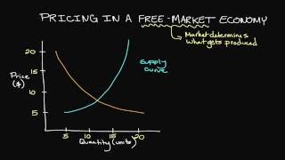 Pricing in a FreeMarket Economy [upl. by Rhys236]