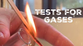 GCSE Science Chemistry 91  Tests for Gases [upl. by Inek]