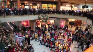 Flash Mob the best of Christmas 2011  Flash Mob Best Of [upl. by Dulciana]