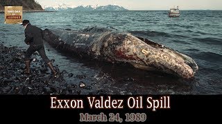 Exxon Valdez oil spill 1989  This Day In History [upl. by Carmine236]