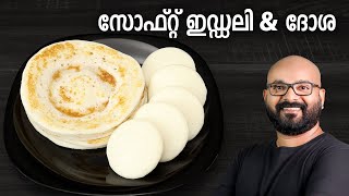 സോഫ്റ്റ് ഇഡ്ഡലി amp ദോശ  Soft Idli amp Dosa Recipe  Easy amp Perfect Idli Dosa Batter [upl. by Kristos644]