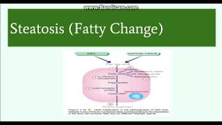 How to Pronounce Dysphagia 2 WAYS British Vs American English Pronunciation [upl. by Crabb]