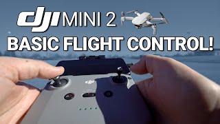 DJI Mini 2  Basic Flight Control Tutorial [upl. by Sexton770]