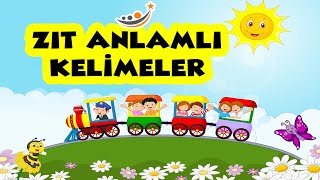 1 SINIF TÜRKÇE  ZIT ANLAMLI KELİMELER KONU ANLATIMI [upl. by Anivad]