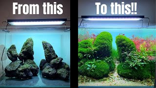 TAKE YOUR AQUASCAPE TO THE NEXT LEVEL WITH THIS MOSS METHOD [upl. by Anella454]