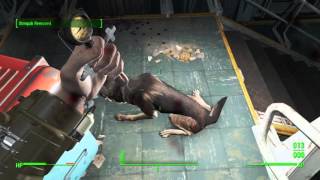 Fallout 4 Vault 75 Admin Key Map Location amp footage of how to get the key [upl. by Antonin]