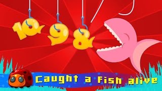 12345 Once I Caught A Fish Alive  Nursery Rhymes for kids  JellyBug [upl. by Omora]