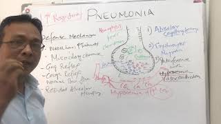 Pneumoniapathophysiology [upl. by Aeirdna555]