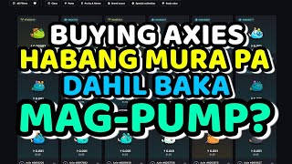 Bumili ako ng Axie kasi Tataas Daw Presyo  Axie Origins Update [upl. by Anivram]