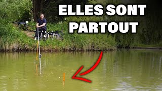 6 ÉTAPES pour RÉUSSIR SA PÊCHE à la PÂTE en CARPODROME [upl. by Iahcedrom199]