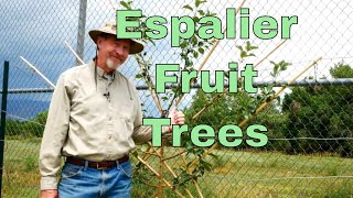 How to Espalier Fruit Trees [upl. by Amata]