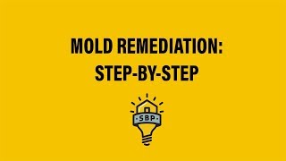 SBP StepbyStep Mold Remediation Guide [upl. by Yeaton606]