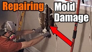 How To Repair Mold Damaged Walls  THE HANDYMAN [upl. by Kulseth]