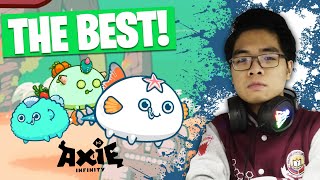 The ULTIMATE Axie Infinity Team for BEGINNERS INSANE DAMAGE [upl. by Aneetak]