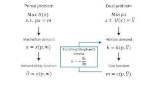 A8 Consumption duality  Consumption  Microeconomics [upl. by Oiratnom]