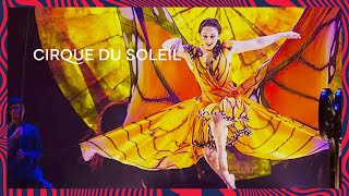 LUZIA  Pez Volador  Official Music Video  Cirque du Soleil [upl. by Niotna]