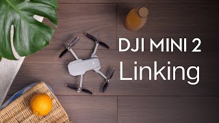 DJI Mini 2  How to Link the Remote Controller [upl. by Ordnagela]