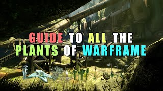 Where amp how to get all the plants in Warframe [upl. by Meuser]