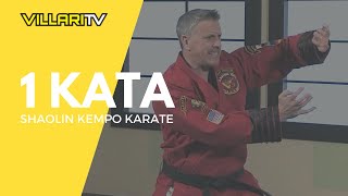 Learn 1 Kata from Grandmaster Villaris  Shaolin Kempo Karate [upl. by Ojahtnamas75]