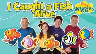 12345 Once I Caught A Fish Alive 🐠 Kids Counting Songs 🔢 Nursery Rhymes 🎵 The Wiggles [upl. by Ferne329]