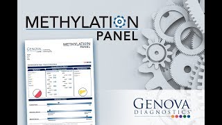 Introduction to Genova Diagnostics Methylation Panel [upl. by Wrench]