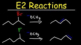 E2 Reaction Mechanism  Hoffman Elimination vs Zaitsevs Rule [upl. by Ester]