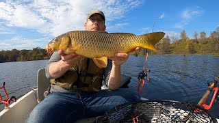 How to Catch Carp From a Boat  Fall Carp Fishing Tips and Tricks [upl. by Grishilda]