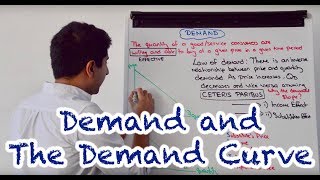 Y1 3 Demand and the Demand Curve [upl. by Carlina823]