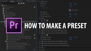 Premiere Pro How To Make A Preset [upl. by Onaivlis191]