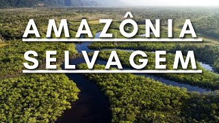 Amazônia Selvagem  Berço da vida  Documentário dublado HD [upl. by Ettegdirb]