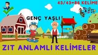 Zıt Anlamlı Kelimeler 1 2 3 4 Sınıf Eğitici Çizgi Film [upl. by Mclaurin410]