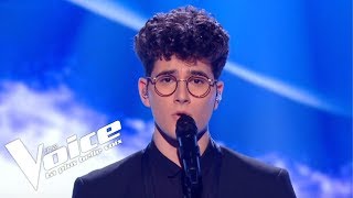 Daniel Balavoine  SOS Dun Terrien En Détresse  Gjons Tears  The Voice 2019  Live Audition [upl. by Mashe]