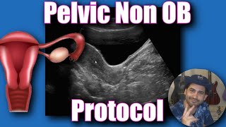 Pelvic Ultrasound Non OB Protocol [upl. by Nedap446]